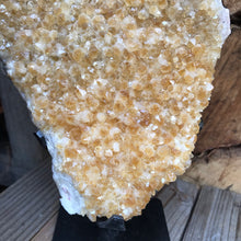 Citrine Cluster in Stand