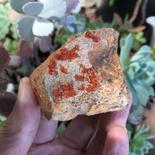Vanandinite Cluster
