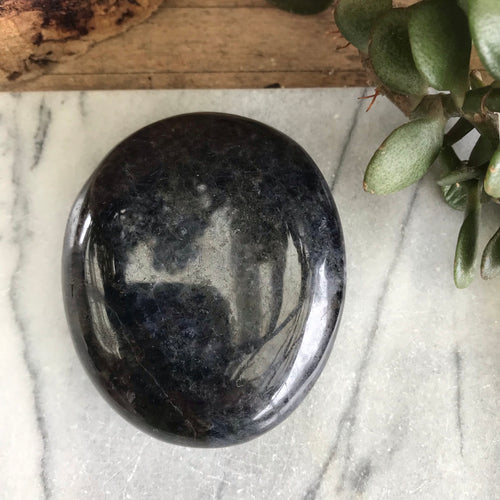 Iolite Palm Stone SKU 19539