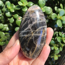 Black Moonstone Palm Stone SKU 19840