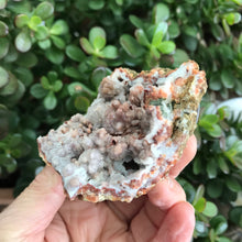 Calcite Geode SKU 15181
