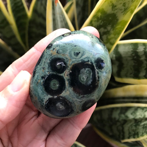 Kambaba Jasper Palm Stone SKU 16015