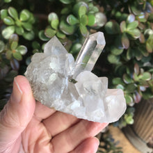 Epidote in Quartz Cluster SKU 14354