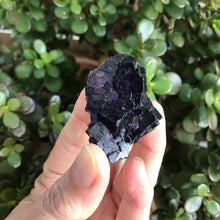 Cubic Purple Fluorite Cluster SKU 6820