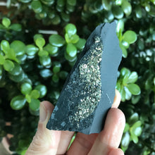 Pyrite on Carbon Specimen SKU 20471