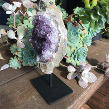 Amethyst Cluster on Stand SKU 16003