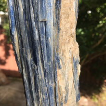 Blue Kyanite Specimen in Stand SKU 16093
