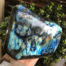 Labradorite Freeform SKU 20714