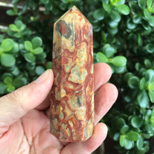 Crazy Lace Agate Point SKU 20173A