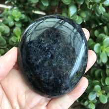 Iolite Palm Stone SKU 19539