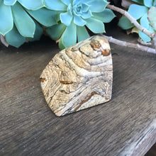 Picture Jasper Freeform