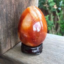 Carnelian Egg SKU 15099