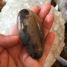 Dendritic Agate Palm Stone SKU 21234