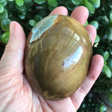 Desert Jasper Extra Large Tumblestone SKU 20451D