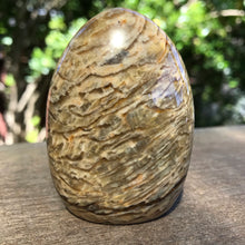 Zebradorite Dome
