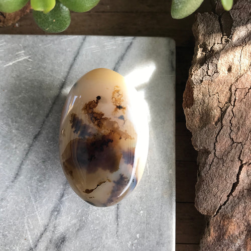 Dendritic Agate Palm Stone SKU 20277