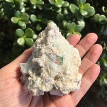 Tourmaline in Matrix Cluster SKU 19266