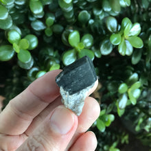 Garnet Specimen SKU 20308