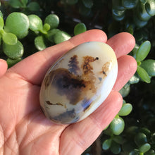 Dendritic Agate Palm Stone SKU 20277