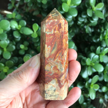 Crazy Lace Agate Point SKU 20174
