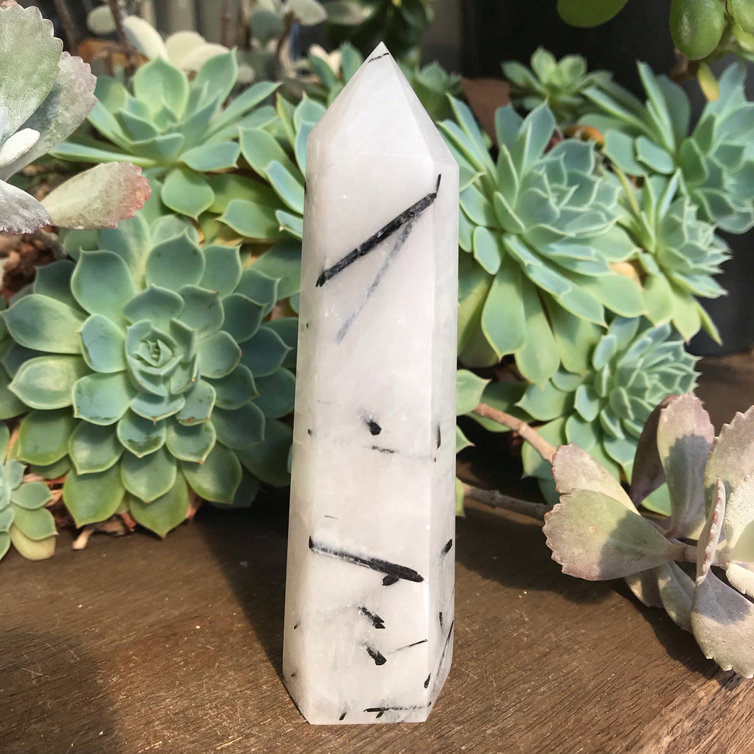 Tourmalinated Quartz Point SKU 15819