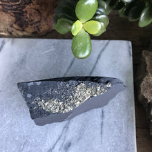 Pyrite on Carbon Specimen SKU 20471
