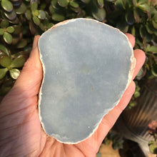 Angelite Part Polished Piece SKU 19113