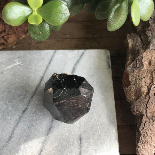 Garnet Specimen SKU 20306