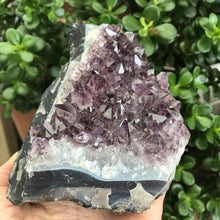 Amethyst Cluster SKU 17941