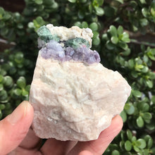 Mixed Tourmaline and Lepidolite Specimen SKU 19268