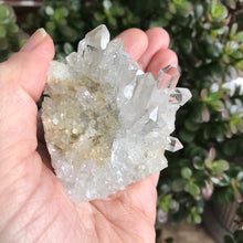 Clear Quartz Cluster SKU 12211