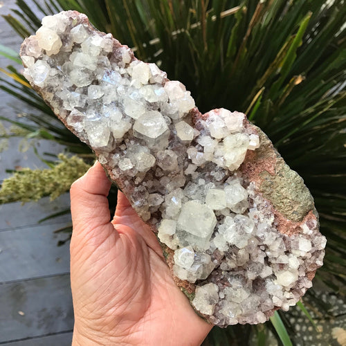 Apophyllite Cluster SKU 17465