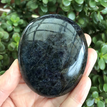 Iolite Palm Stone SKU 19539