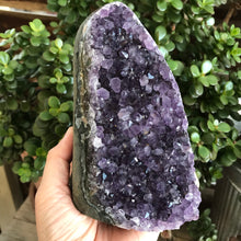 Amethyst Standing Cluster SKU 19062