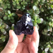 Cubic Purple Fluorite Cluster SKU 6820