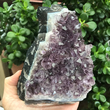 Amethyst Cluster SKU 17941