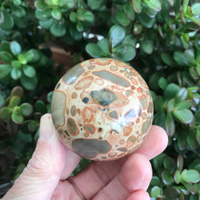 Leopardite Sphere SKU 19052