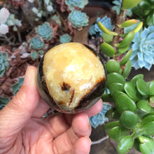 Septarian Sphere SKU 17558