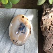 Dendritic Agate Palm Stone SKU 20277