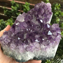 Amethyst Cluster SKU 20874
