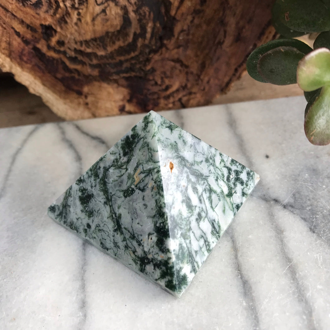 Tree Agate Pyramid SKU 18733
