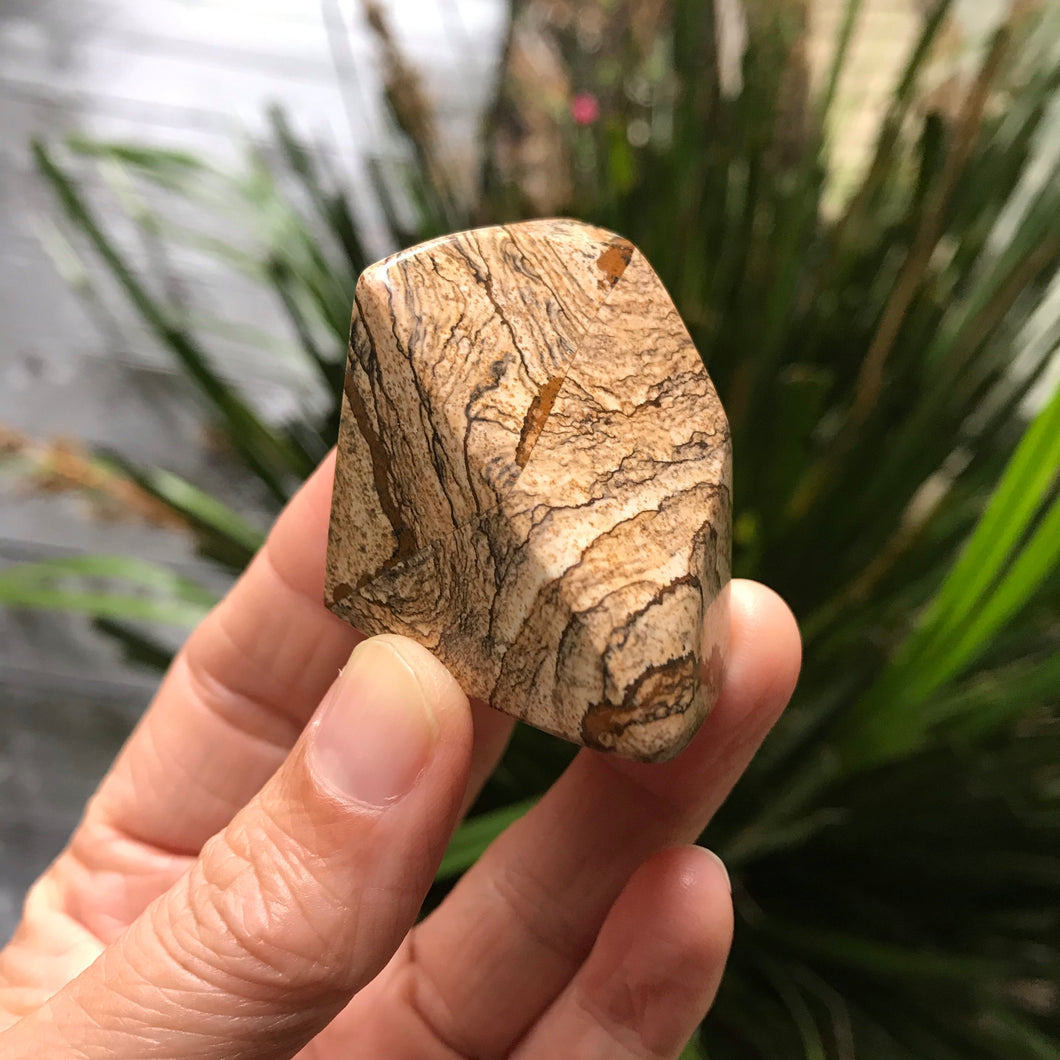 Picture Jasper Freeform