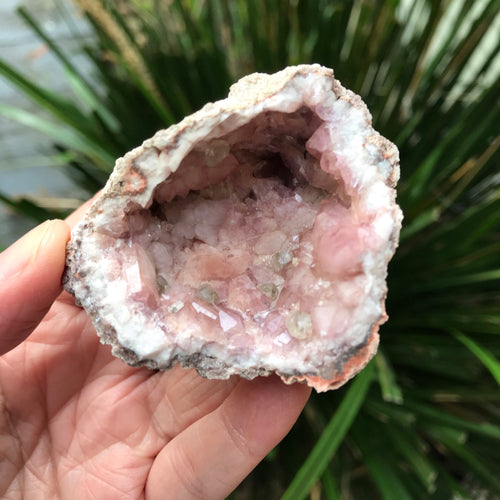 Pink Amethyst Cluster SKU 15021