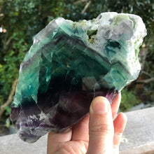Rainbow Fluorite Slice SKU 20977