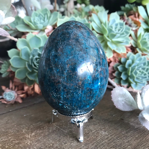 Blue Apatite Egg SKU 16114