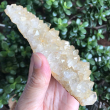 Golden Quartz Cluster on Stand