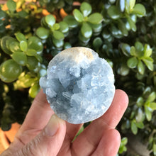 Celestite Geode Sphere SKU 21018