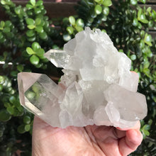 Clear Quartz Cluster SKU 20825