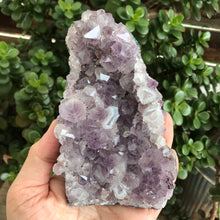 Amethyst Cluster SKU 19769