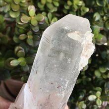 Himalayan Quartz Cluster SKU 18857